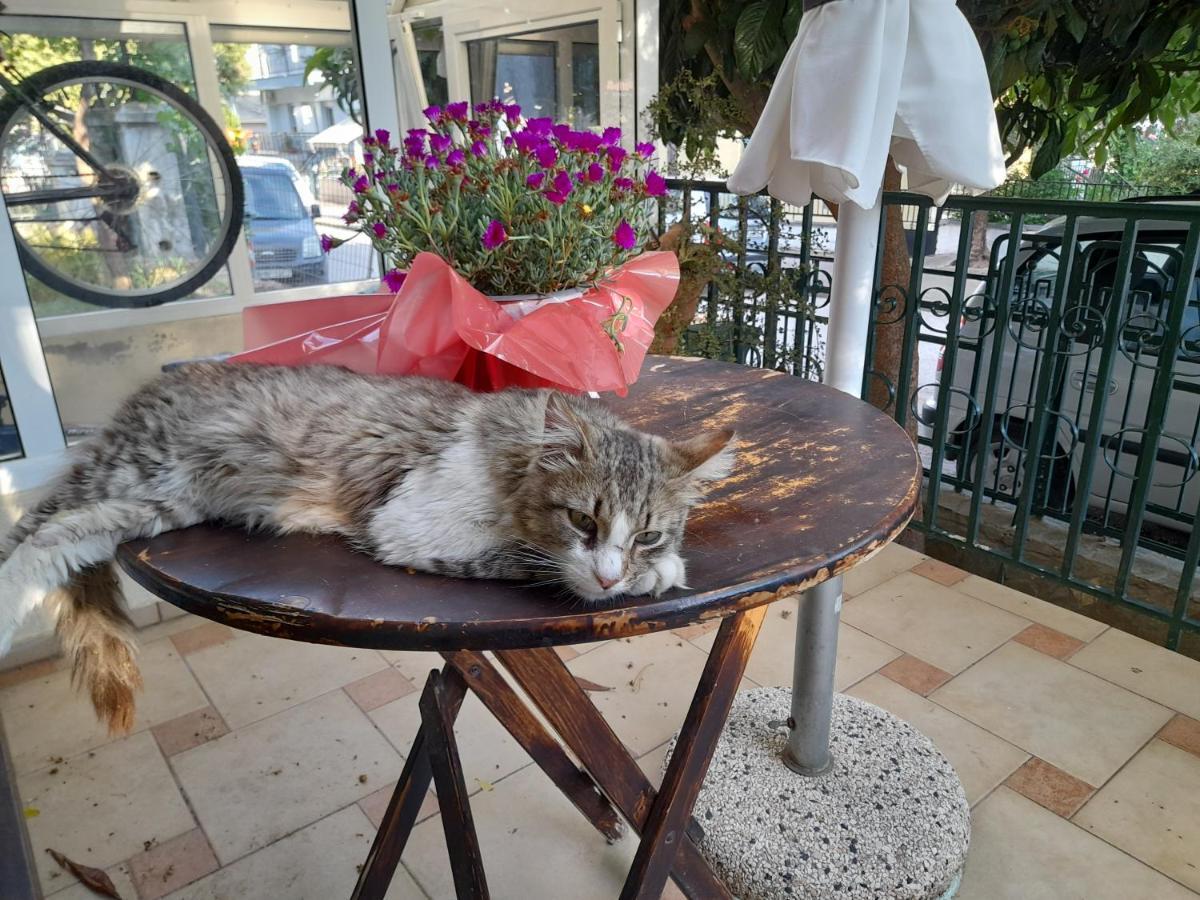 Appartamento Friendly Philoxenia Xanthi Esterno foto