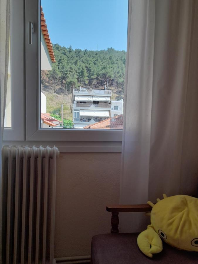 Appartamento Friendly Philoxenia Xanthi Esterno foto
